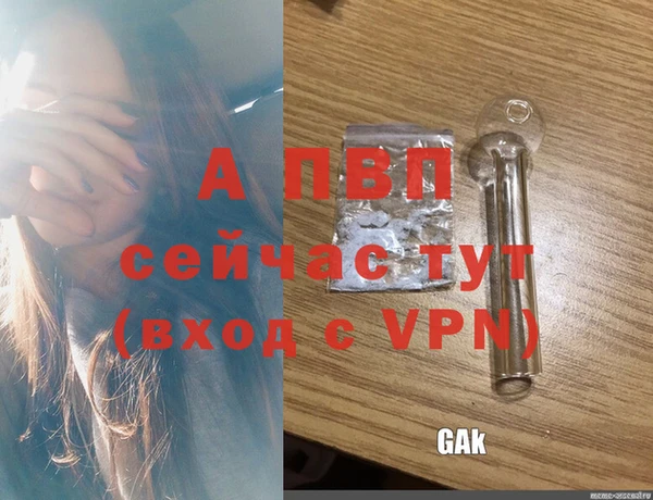 спиды Саяногорск